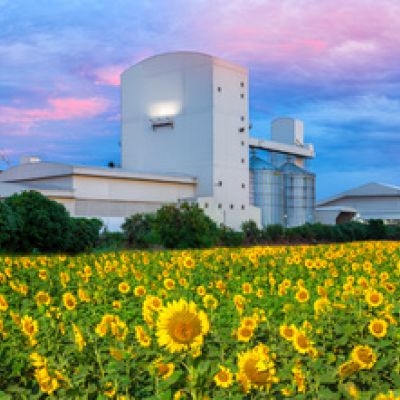 przemysł spożywczy